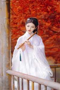 蛇婿全文小说