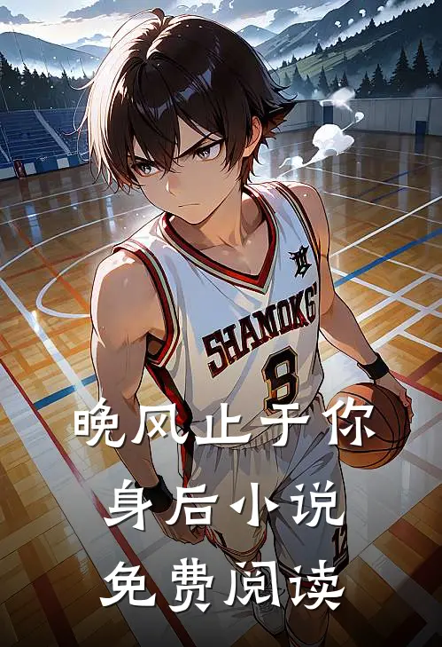 晚风止于你身后小说免费阅读