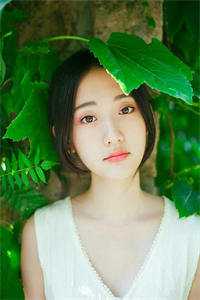 重回六零：种田发家养崽崽小说结局