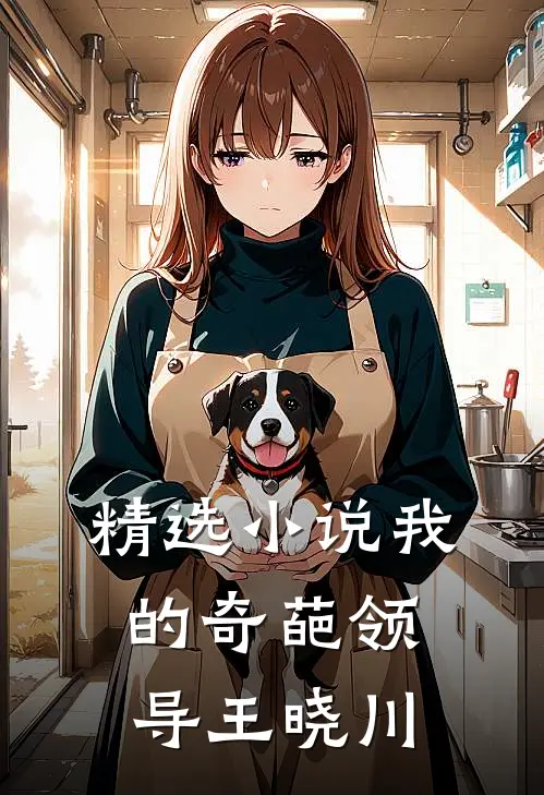 精选小说我的奇葩领导王晓川