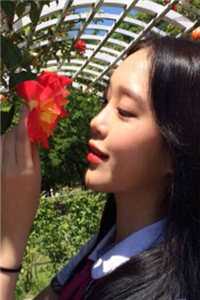 迟域苏迦妮小说全文完结