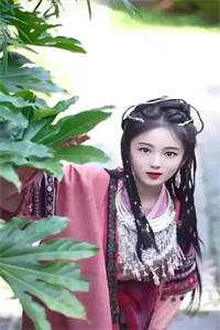 雨歇微凉，多年情深梦一场全本小说推荐