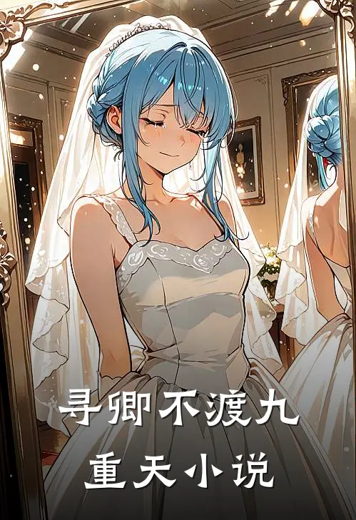 寻卿不渡九重天小说