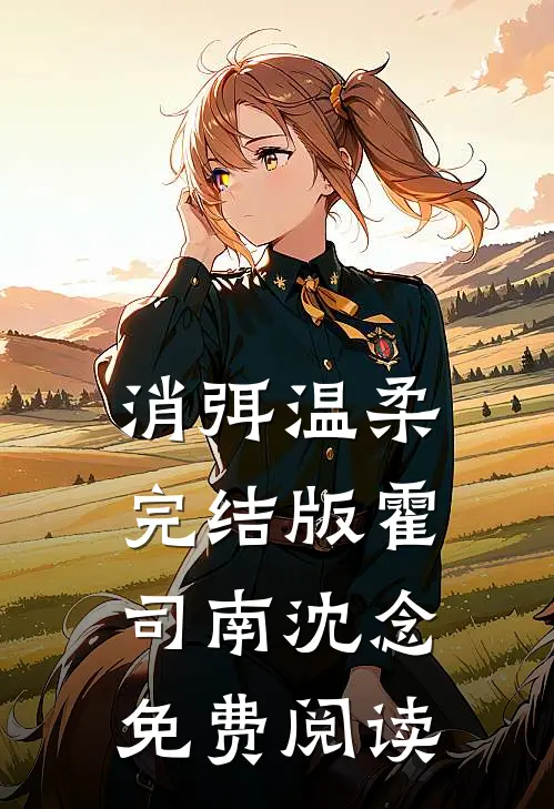 消弭温柔完结版霍司南沈念免费阅读