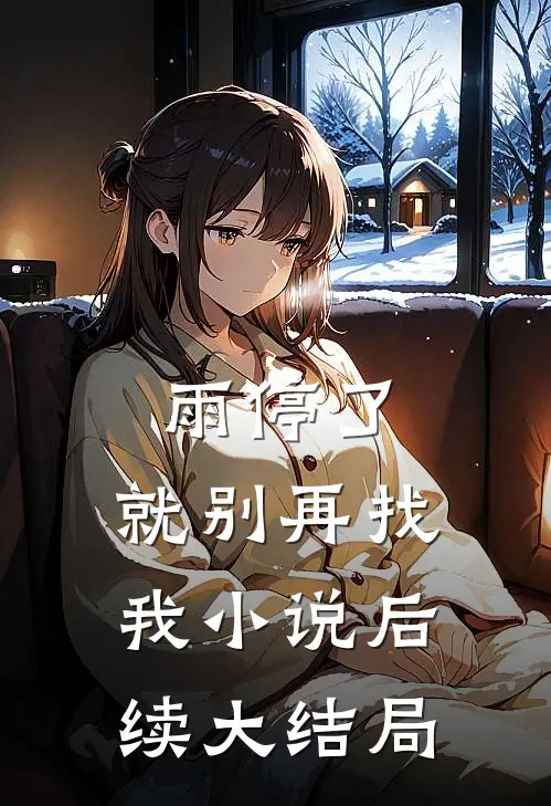 雨停了，就别再找我小说后续大结局
