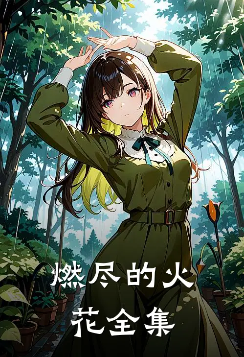 燃尽的火花 全集