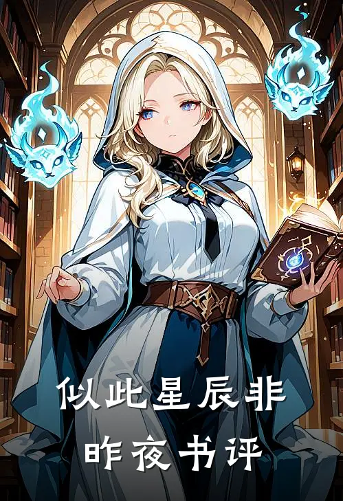 似此星辰非昨夜书评