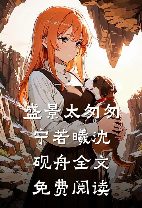 盛景太匆匆宁若曦沈砚舟全文免费阅读