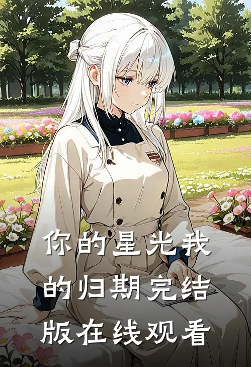 你的星光我的归期完结版在线观看