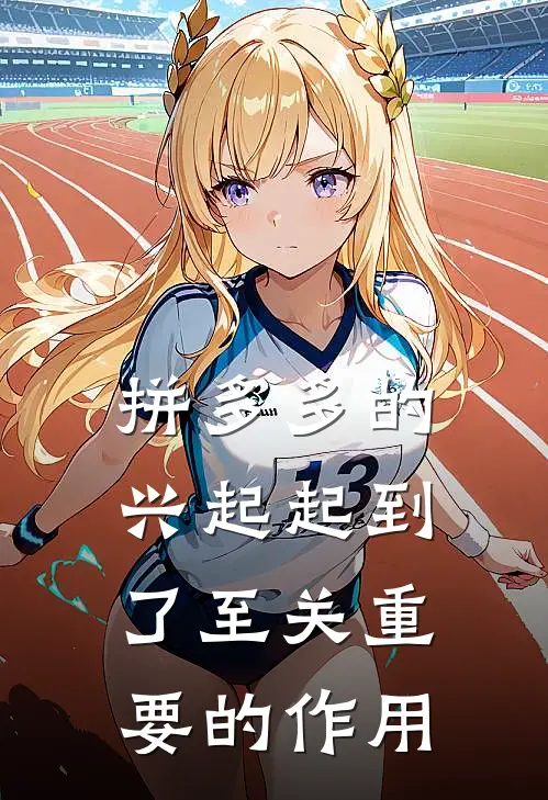 拼多多的兴起起到了至关重要的作用
