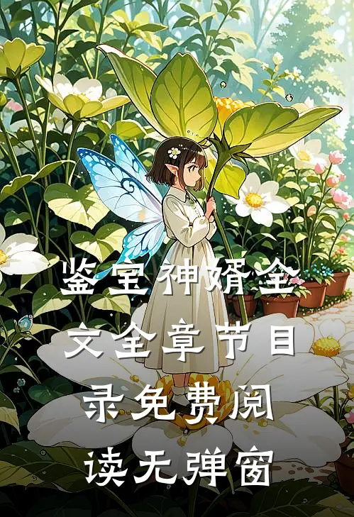 鉴宝神婿全文全章节目录免费阅读无弹窗
