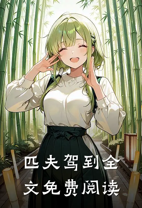 匹夫驾到全文免费阅读