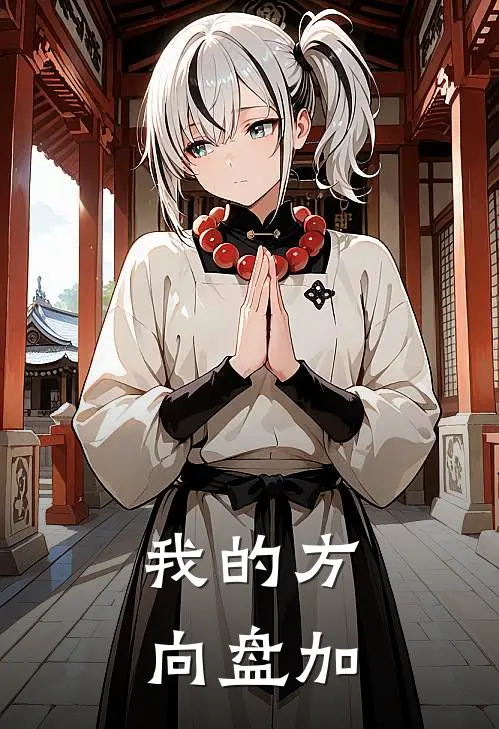 我的方向盘加