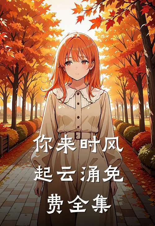 你来时风起云涌免费全集