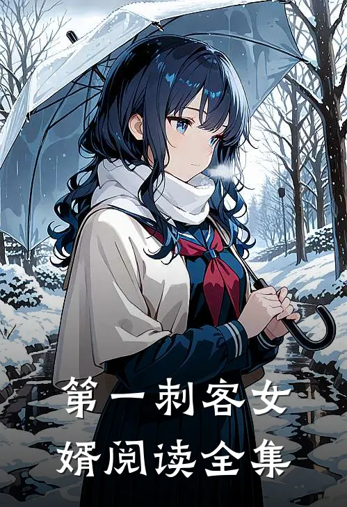 第一刺客女婿阅读全集