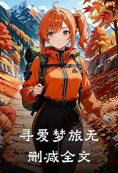 寻爱梦旅无删减全文