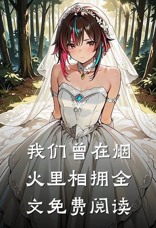 我们曾在烟火里相拥全文免费阅读