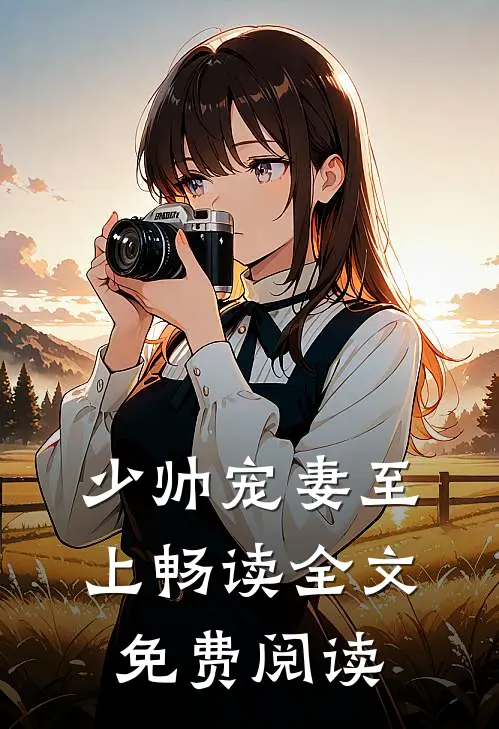 少帅宠妻至上畅读全文免费阅读
