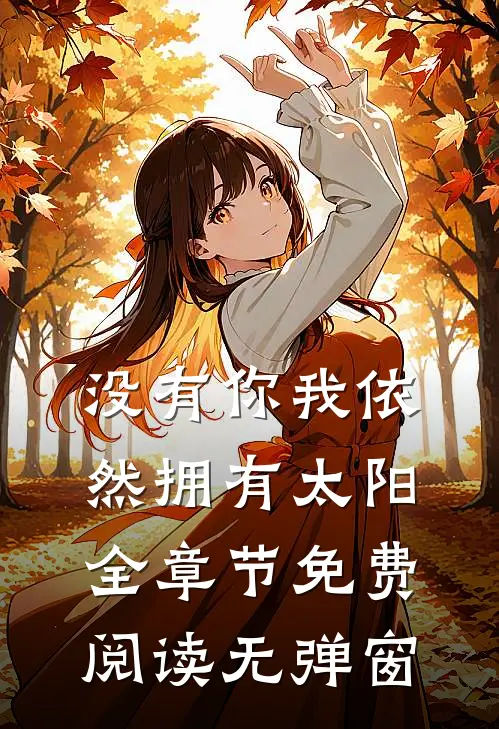 没有你我依然拥有太阳全章节免费阅读无弹窗