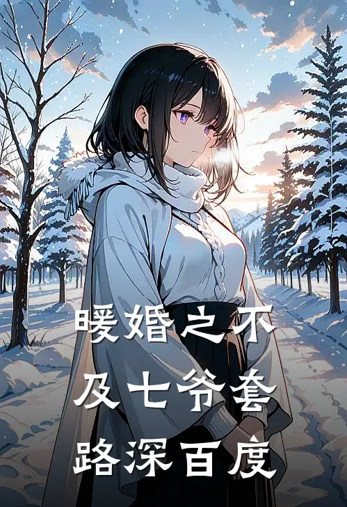 暖婚之不及七爷套路深百度