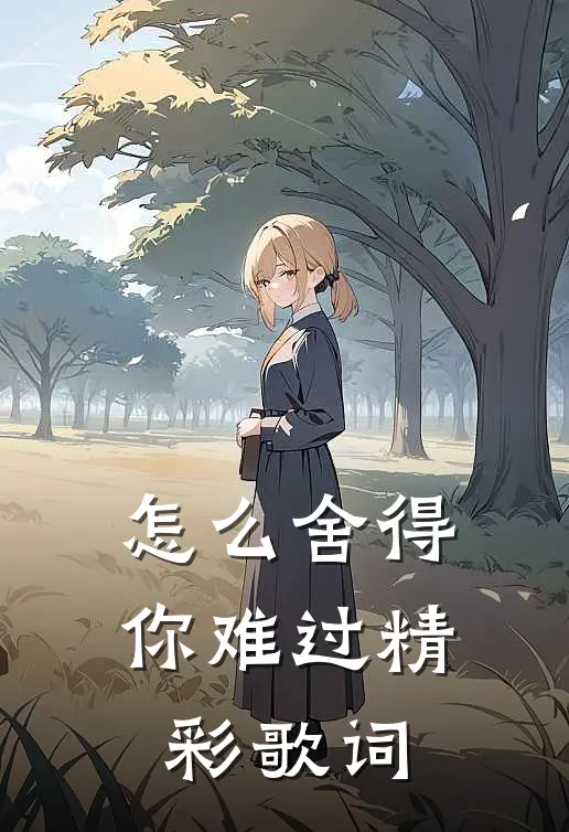 怎么舍得你难过精彩歌词