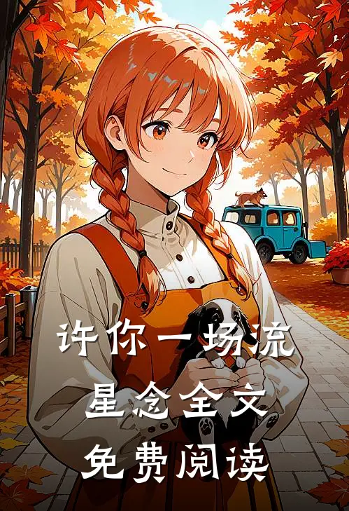 许你一场流星念全文免费阅读