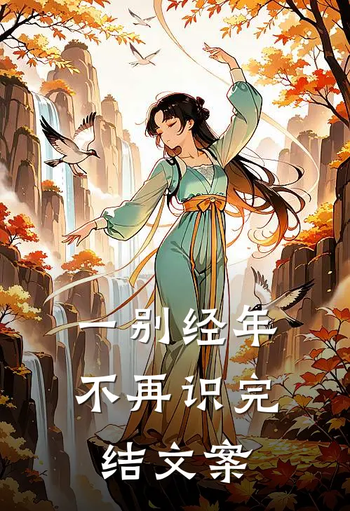 一别经年不再识完结文案