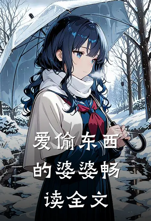 爱偷东西的婆婆畅读全文