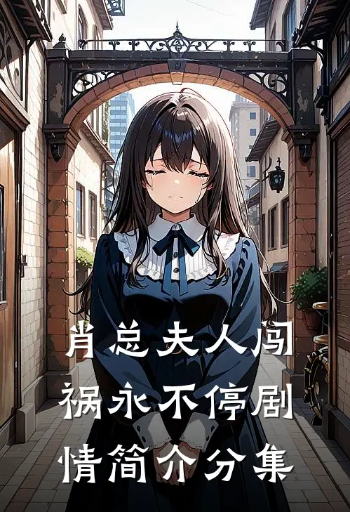肖总夫人闯祸永不停剧情简介分集