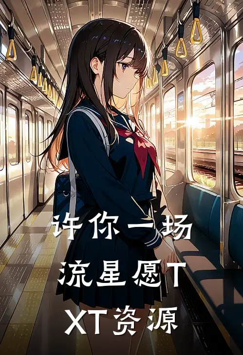 许你一场流星愿TXT资源