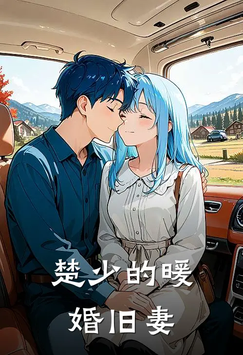 楚少的暖婚旧妻