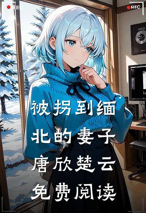被拐到缅北的妻子唐欣楚云免费阅读