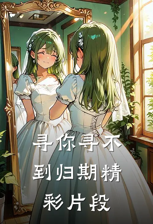 寻你寻不到归期精彩片段