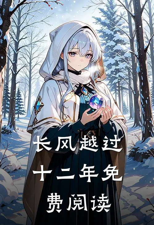长风越过十二年免费阅读