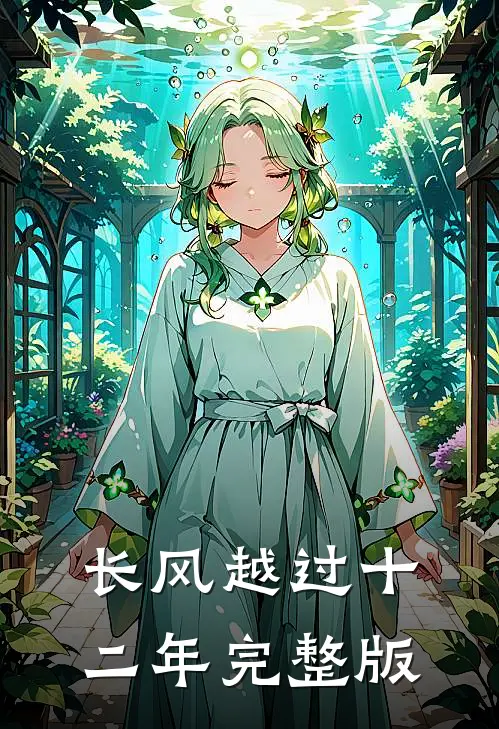 长风越过十二年完整版