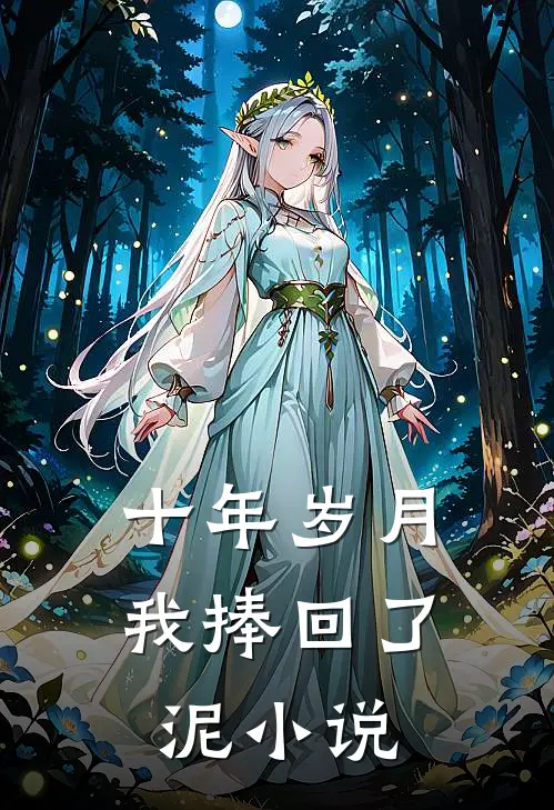 十年岁月，我捧回了泥小说