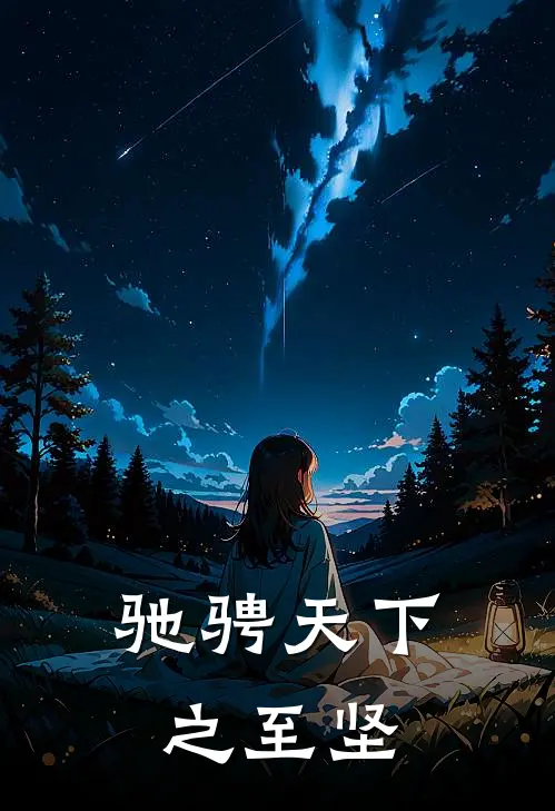驰骋天下之至坚