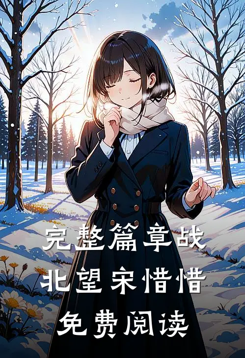 完整篇章战北望宋惜惜免费阅读