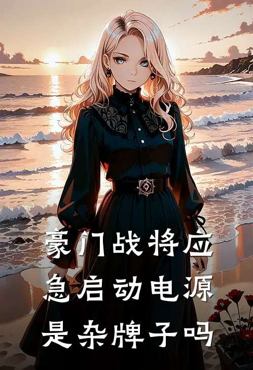 豪门战将应急启动电源是杂牌子吗