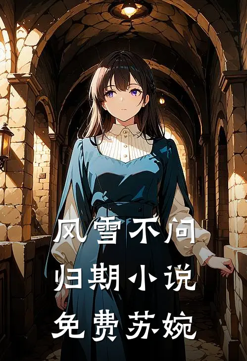 风雪不问归期小说免费苏婉