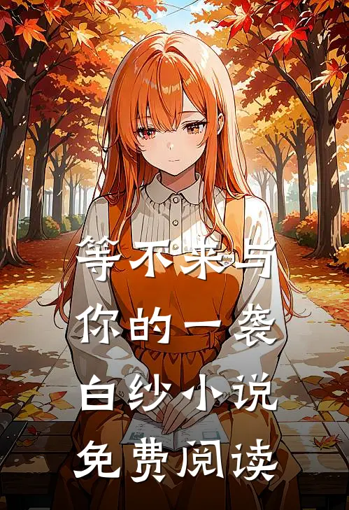 等不来与你的一袭白纱小说免费阅读