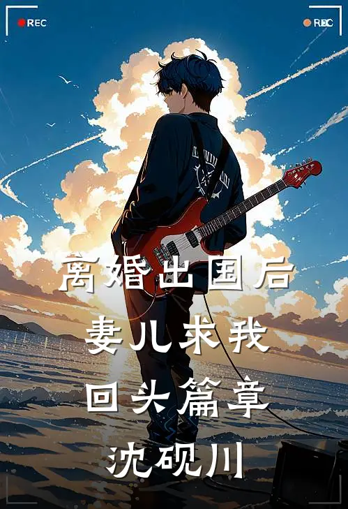 离婚出国后，妻儿求我回头篇章沈砚川