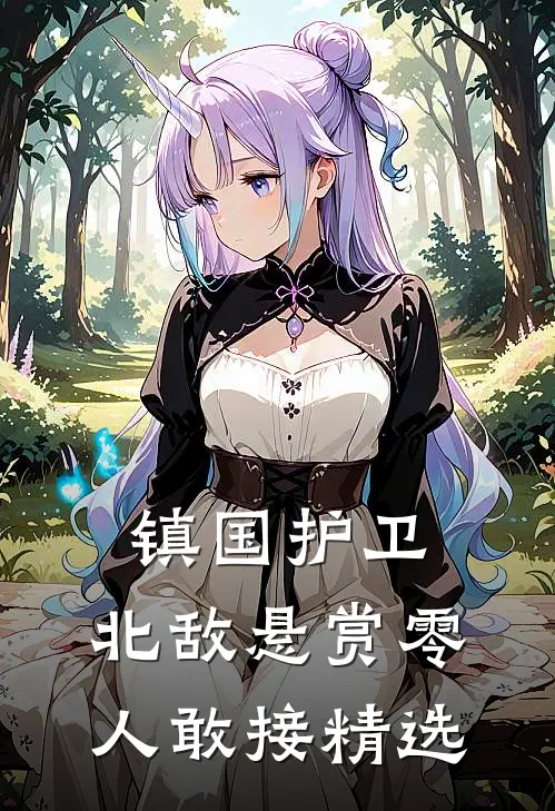 镇国护卫，北敌悬赏零人敢接精选