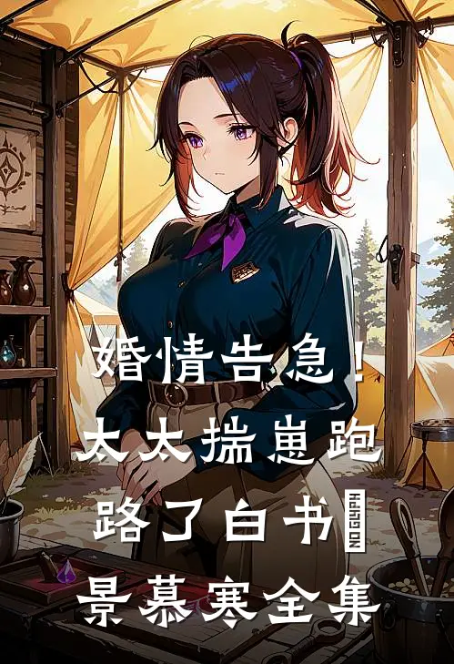 婚情告急！太太揣崽跑路了白书珺景慕寒全集