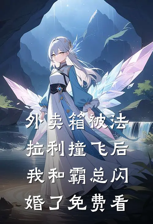 外卖箱被法拉利撞飞后，我和霸总闪婚了免费看