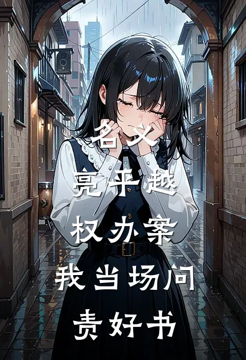名义：亮平越权办案，我当场问责好书