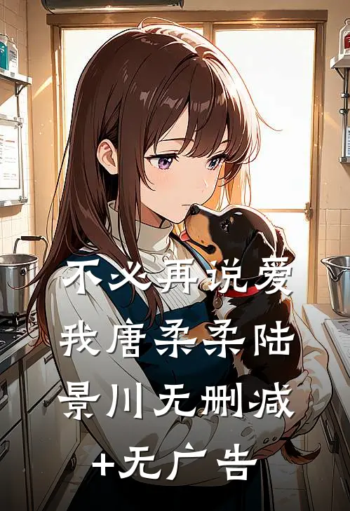 不必再说爱我唐柔柔陆景川无删减+无广告
