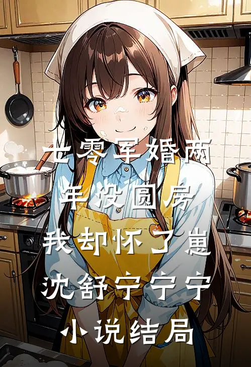 七零军婚两年没圆房，我却怀了崽沈舒宁宁宁小说结局