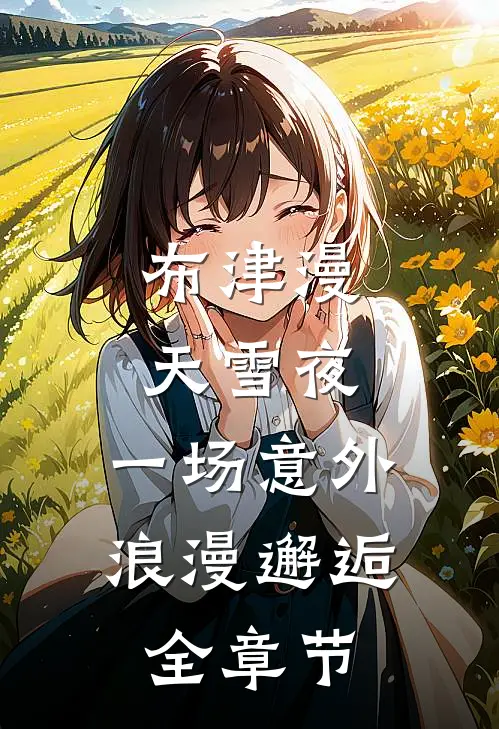 布津漫天雪夜：一场意外浪漫邂逅全章节