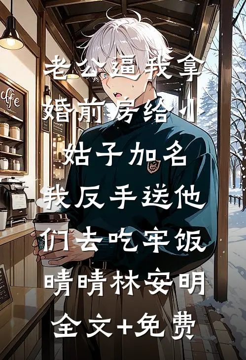 老公逼我拿婚前房给小姑子加名，我反手送他们去吃牢饭晴晴林安明全文+免费
